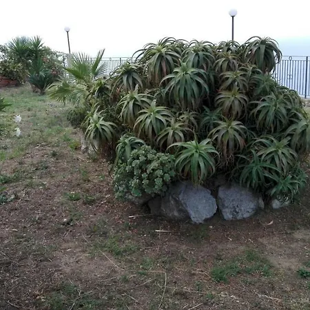 Panzió Paradise